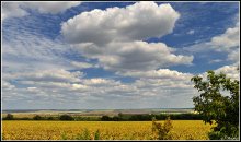 South Ukraine cloudy / ***