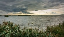Strong wind / ***