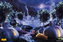 Magic Night / ***