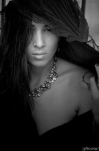 Sandra / ....................