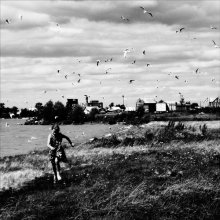 mit dem Wind / *****