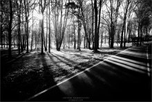 [Here] / ***