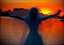 Sunset / ***
