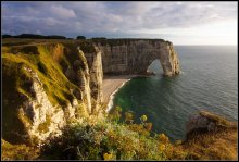 Flowers on cliff / ***