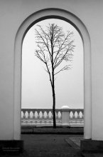 Loneliness / ***