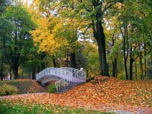 Park ... Herbst ... / *******
