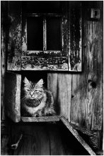 Loneliness / *****
