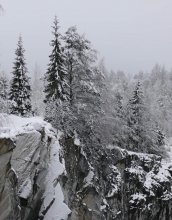 In the northern wilderness / .......