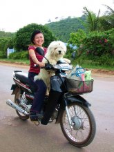 Man dog friend! / ***