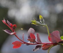 Autumn motive ... / ***