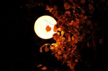 Der Mond? / ********