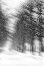 [ The Long Road to the New Year ] / ***