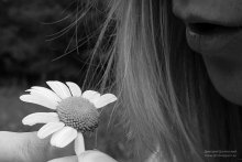 Mag - Abneigungen / ***