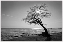 Do not let go! .. / ***