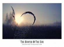 Catcher Sun. / ***