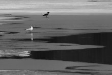 Black and white / *****