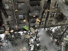 Rain (a) ... / ***