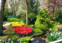 In Holland Park / ***