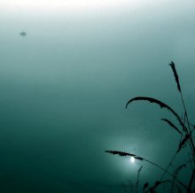 My goluboi fog / *****