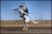 Candle under saddle / ***