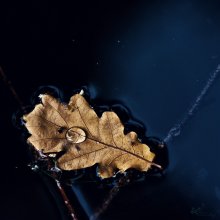 drop / drop..
