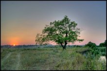 Sunset in July / ***