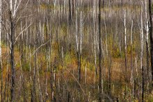 In Siberia / ********