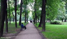 In the Mikhailovsky Garden. / ***