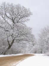 winter road / \\\\\\\\\\\\\\\\\\\\\