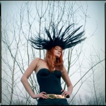 Crow / ***