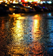 Rain / ***