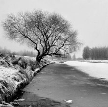 thaw / *****