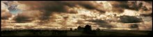 Autumn Sky / ***