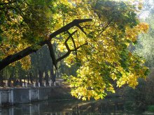 Hieroglyph autumn / **************