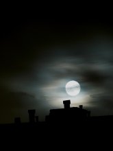 Night / ***
