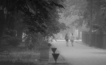 Fog in the Park / *****