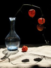 Physalis / ***