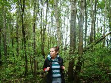 Forestry / ***