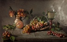 Grape siesta / ***
