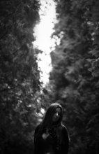 Untitled / ***