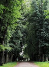 Straße zum alten Herrenhaus / ***