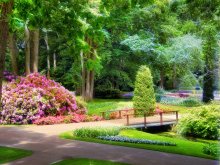 Parks Holland 8 / ***