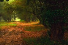 September morning / ......