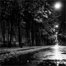 [ Way to Fall ] / ***