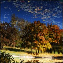 In the wilds of autumn / ***