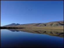CALM / *********