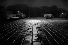 Wet autumn night ... / ***