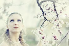 Sakura / .......
