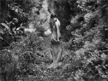 forest nymph / ***