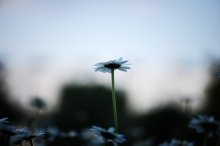 above the sky ... / .....